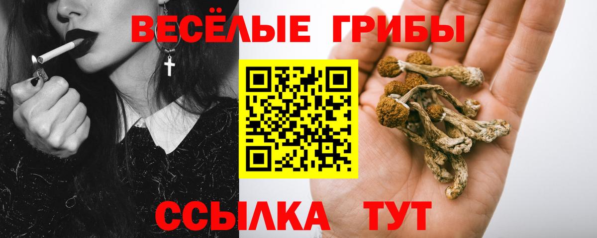 Галлюциногенные грибы мицелий Лесосибирск